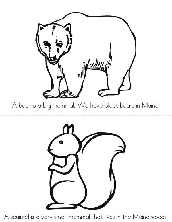 Maine Mammals Mini Book - Sheet 1