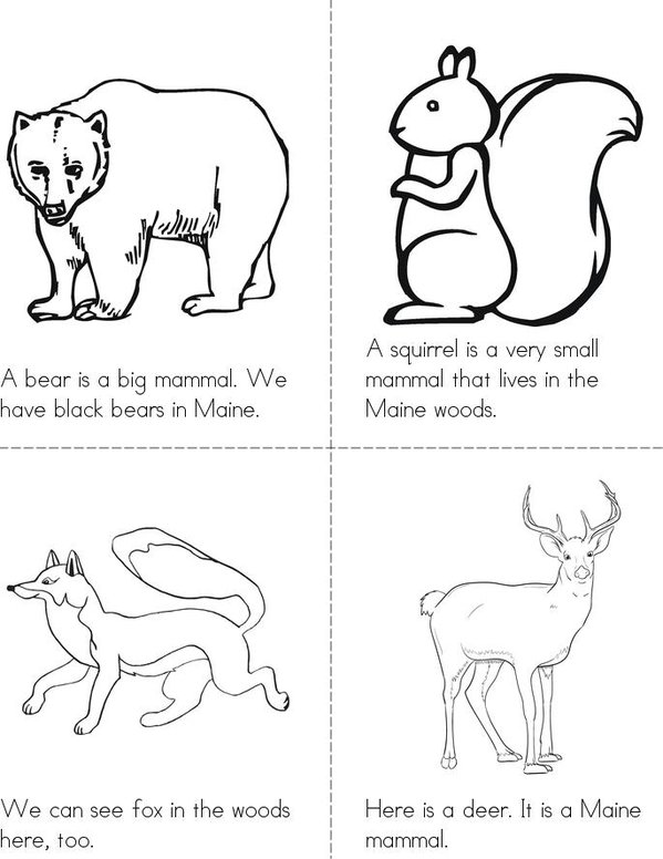 Maine Mammals Mini Book - Sheet 1