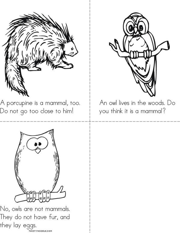 Maine Mammals Mini Book - Sheet 2