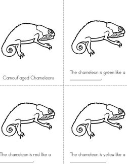 Camouflaged Chameleons Book