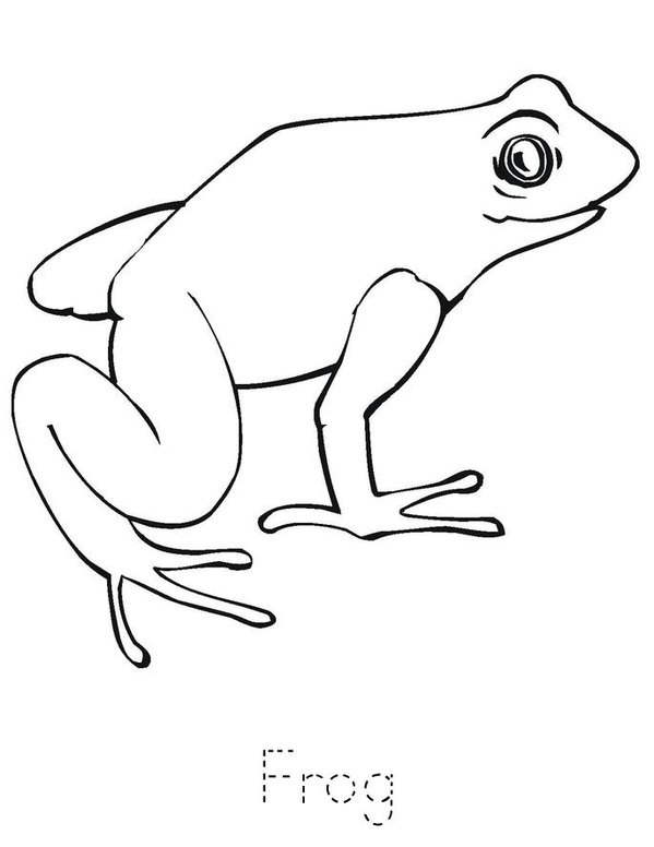 Amphibians Mini Book - Sheet 1