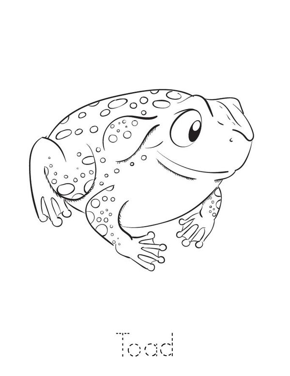 Amphibians Mini Book - Sheet 3