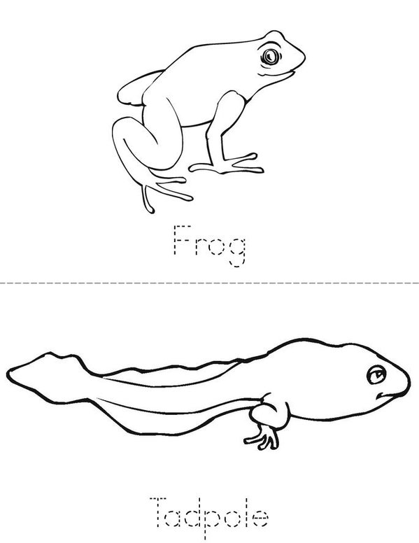 Amphibians Mini Book - Sheet 1