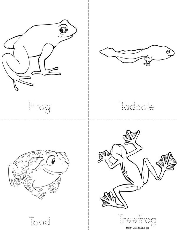 Amphibians Mini Book