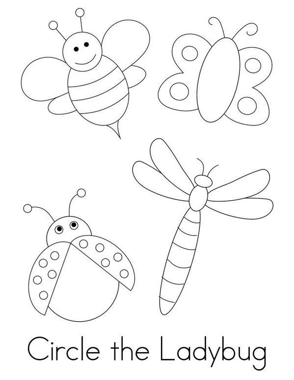 Ladybug Activity Book Mini Book - Sheet 3