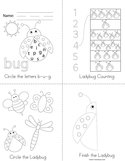 Ladybug Activity Book