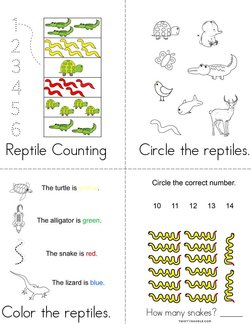 Reptile Activity Book