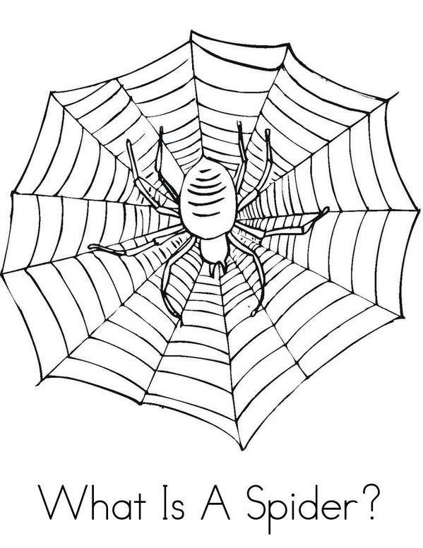 What is a Spider? Mini Book - Sheet 1