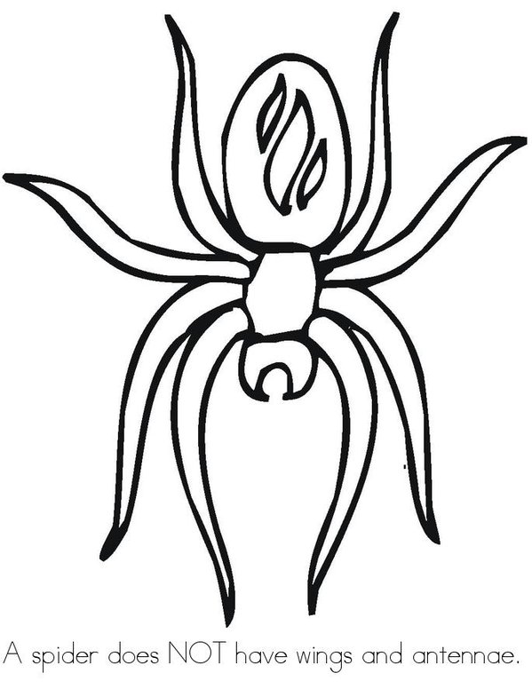 What is a Spider? Mini Book - Sheet 4