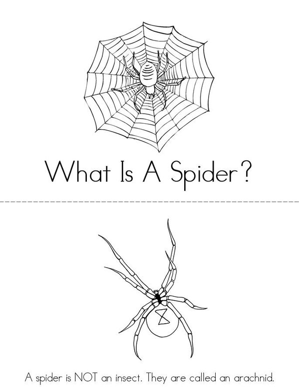 What is a Spider? Mini Book - Sheet 1