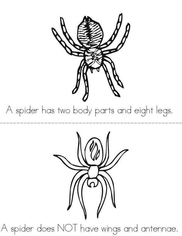 What is a Spider? Mini Book - Sheet 2