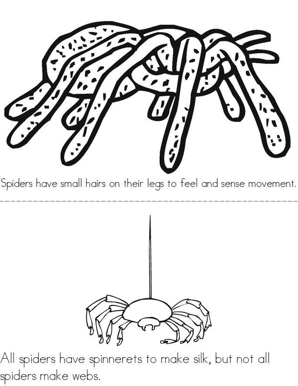 What is a Spider? Mini Book - Sheet 3