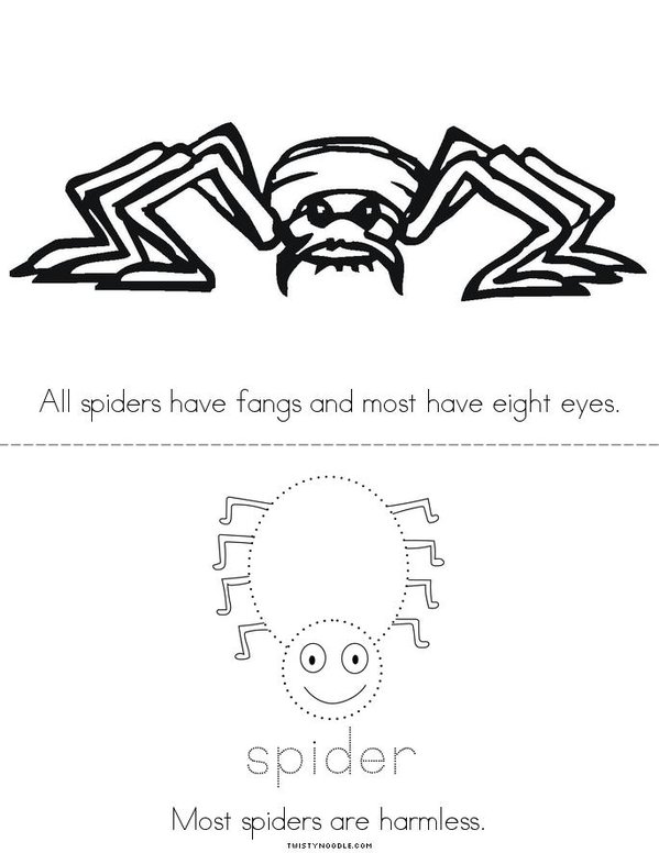 What is a Spider? Mini Book - Sheet 4