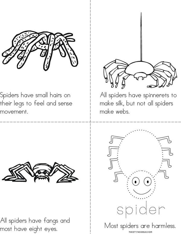 What is a Spider? Mini Book - Sheet 2