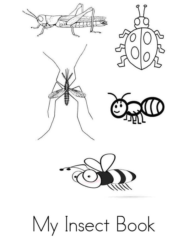 My Insect Book Mini Book - Sheet 1