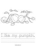 I like my pumpkin. Worksheet