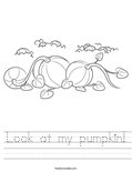 Look at my pumpkin! Worksheet