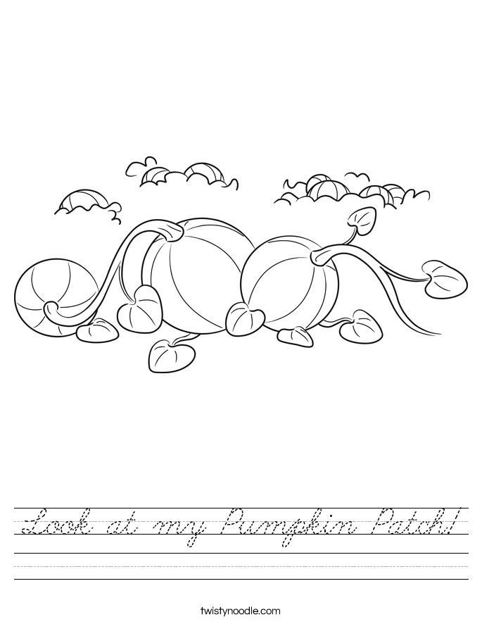Look at my Pumpkin Patch! Worksheet