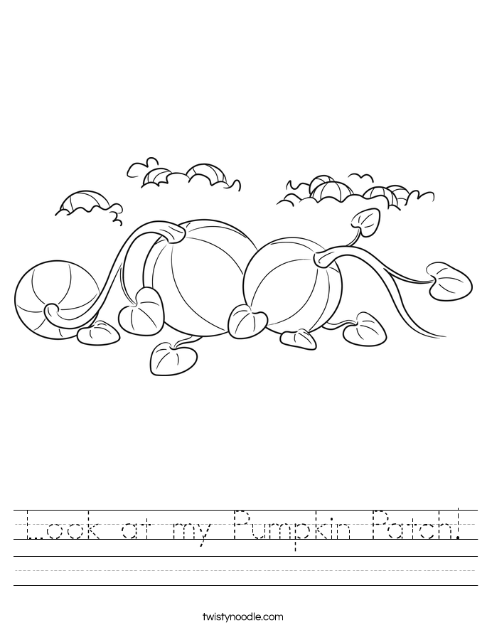 Look at my Pumpkin Patch! Worksheet