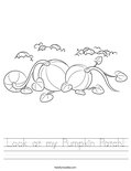 Look at my Pumpkin Patch! Worksheet