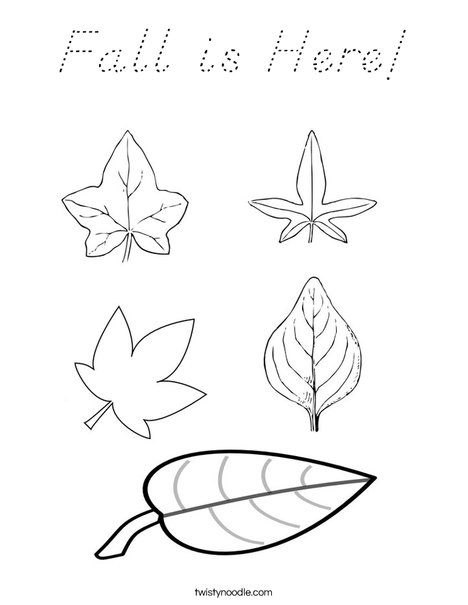 5 Leaves Coloring Page