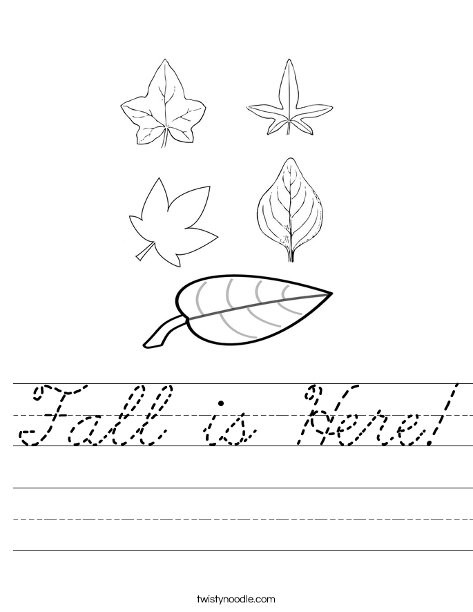 Fall is Here! Worksheet