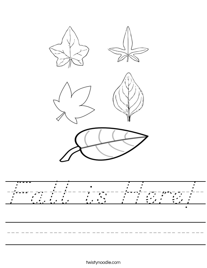 Fall is Here! Worksheet