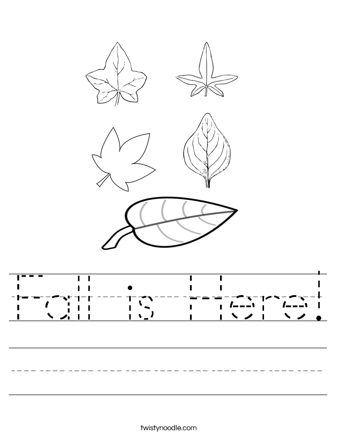 Fall is Here! Worksheet