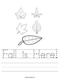 Fall is Here! Worksheet