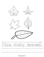How many leaves Handwriting Sheet