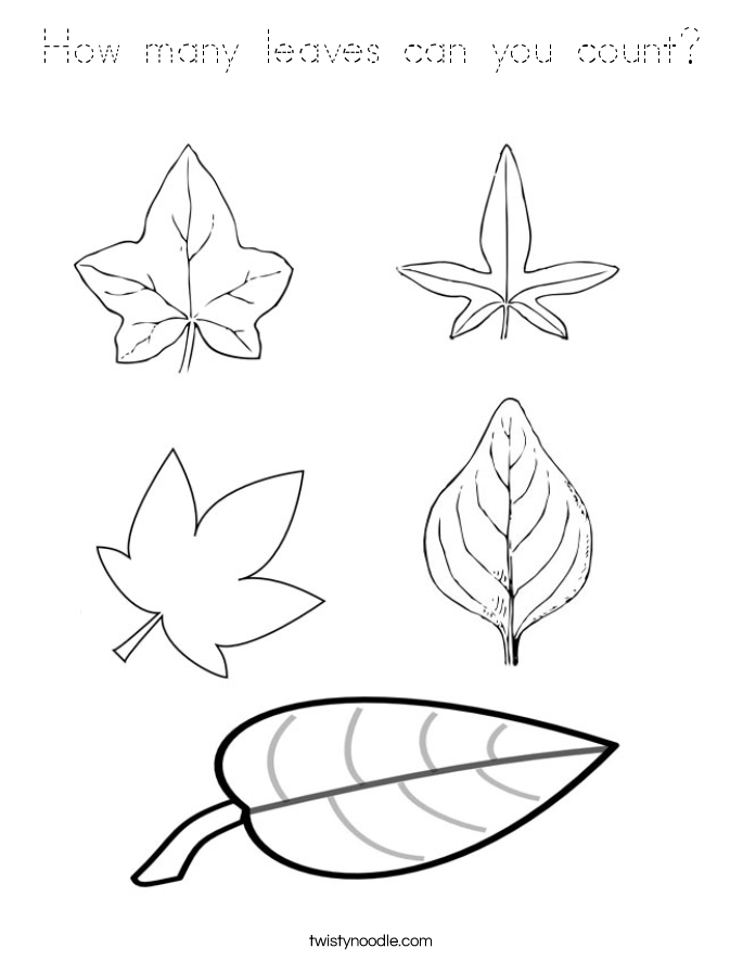 How many leaves can you count? Coloring Page