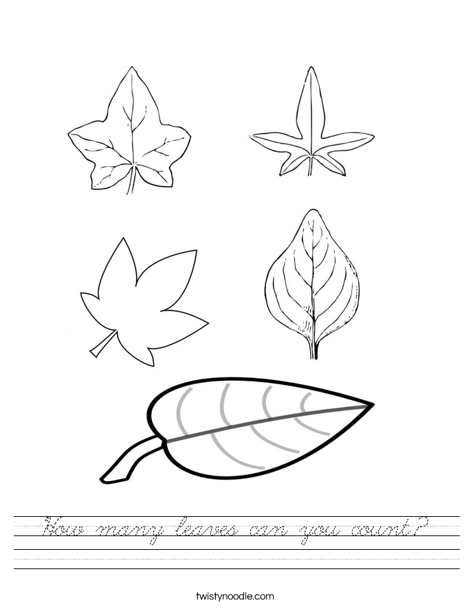 How many leaves can you count? Worksheet