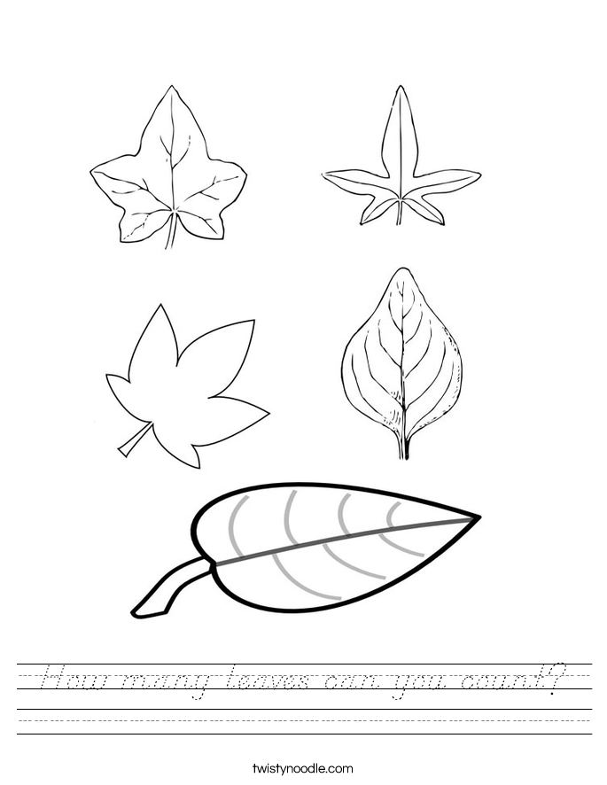 How many leaves can you count? Worksheet