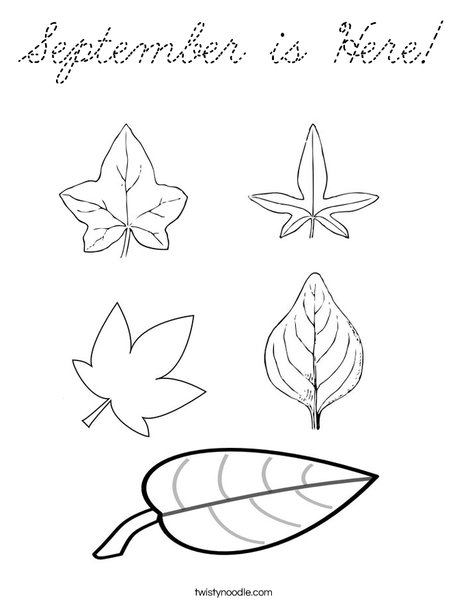 5 Leaves Coloring Page