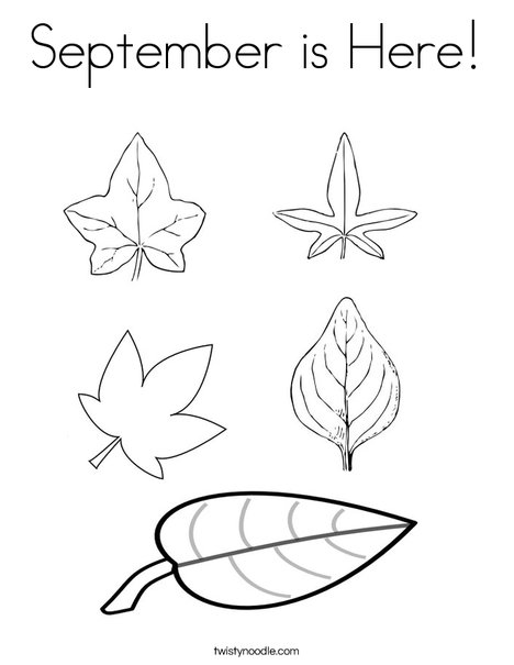 5 Leaves Coloring Page