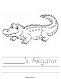 ______'s Alligator Worksheet