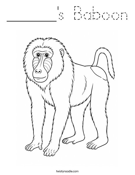 ______'s Baboon Coloring Page
