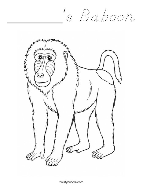 ______'s Baboon Coloring Page