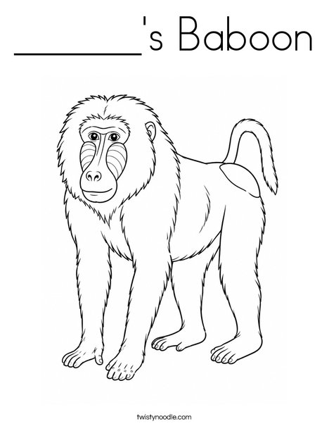 ______'s Baboon Coloring Page