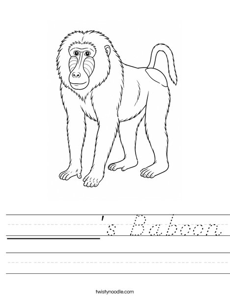 ______'s Baboon Worksheet