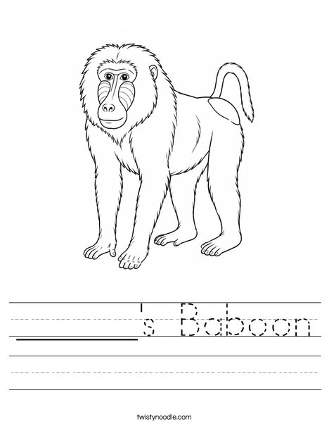 ______'s Baboon Worksheet
