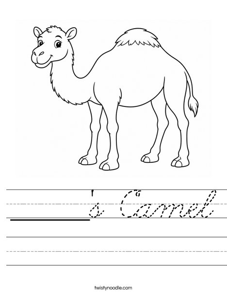 ______'s Camel Worksheet