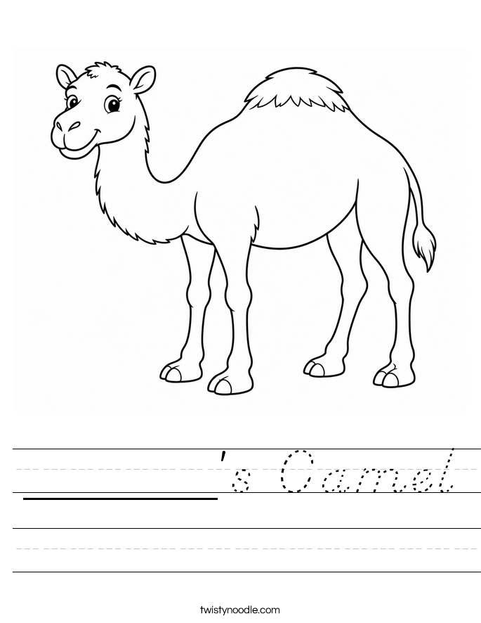 ______'s Camel Worksheet