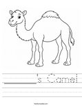 ______'s Camel Worksheet