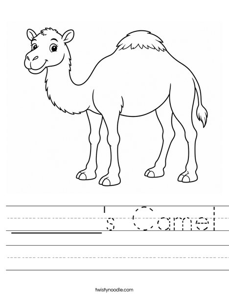 ______'s Camel Worksheet