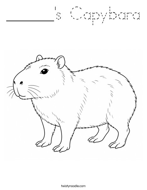 ______'s Capybara Coloring Page