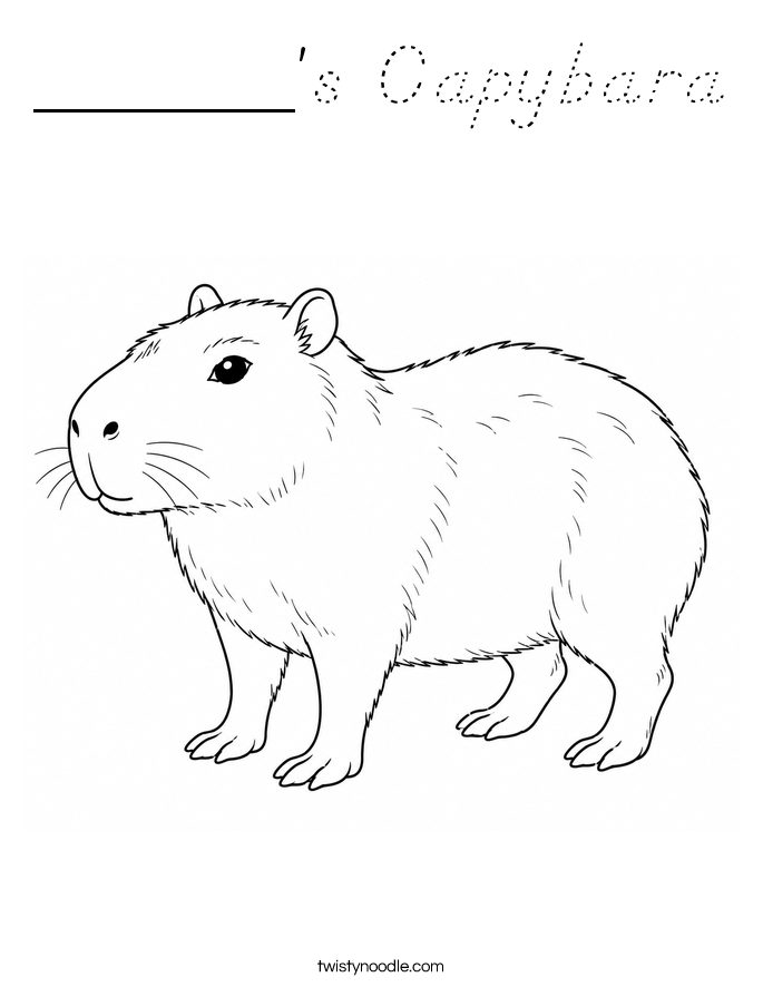 ______'s Capybara Coloring Page