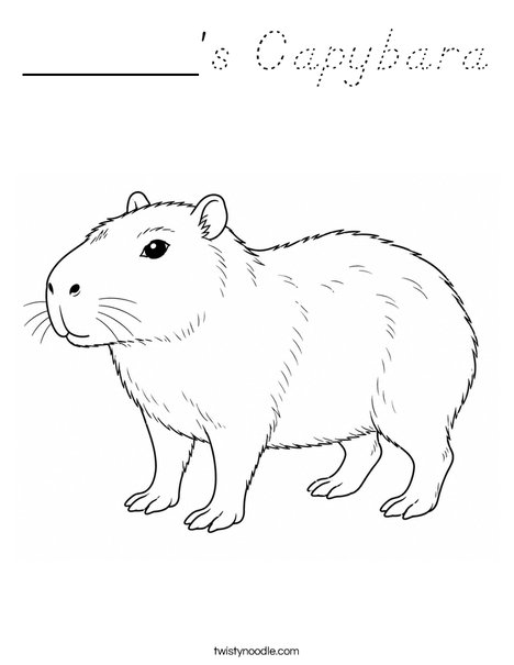______'s Capybara Coloring Page