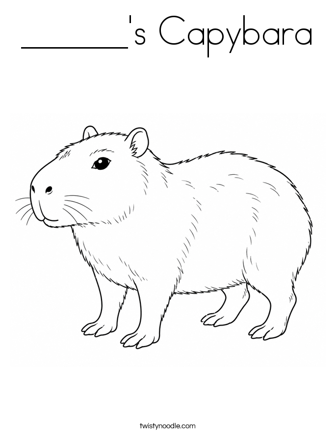 ______'s Capybara Coloring Page