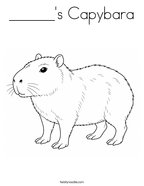 ______'s Capybara Coloring Page